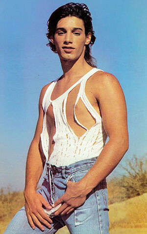 Vince Cobretti